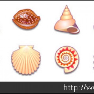 Sea Shells Icons粉色贝壳图标下载