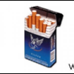 各种经典的国外香烟包装PNG图标下载