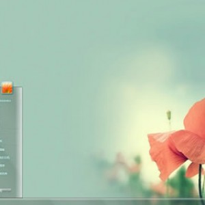 小清新花朵Windows7电脑主题下载