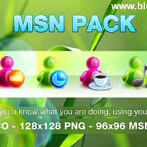 MSN Pack图标下载