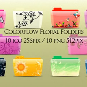 花纹文件夹图标：Colorflow Floral Folder下载