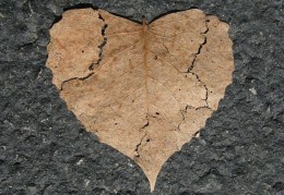 夢見婚姻破裂代表什麼？