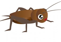 夢見蟋蟀代表什麼？15個夢境解讀（ 夢見蟋蟀攻擊他人、夢見踩蟋蟀）