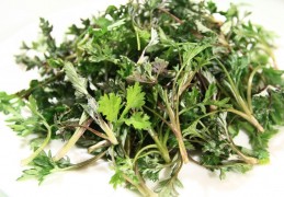 夢見艾草代表什麼？11個夢境解讀（夢見給艾草、夢見收艾草）