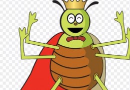 夢見跳蚤代表什麼？9 個夢境解讀