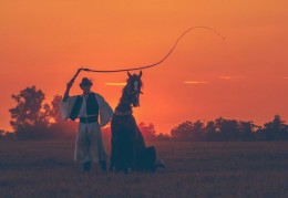 夢見被鞭打代表什麼？9個夢境解讀（夢見鞭打女人、夢見鞭打男人）