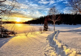 夢見冬天來臨代表什麼？ 23 個夢境解讀