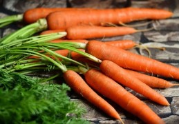 夢見胡蘿蔔代表什麼？23個夢境解讀（夢見煮胡蘿蔔、夢見切胡蘿蔔）