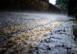 夢見雨是什麼預兆？20 個含義和象徵