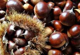 夢見栗子代表什麼？ 17個夢境解讀（夢見有人吃栗子、夢見烤栗子）