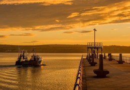 夢見港口代表什麼？23個夢境解讀（夢見有人在港口追你、夢見在港口工作）