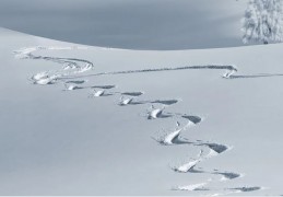 夢見降雪代表什麼？ 25個夢境解讀（夢見吃雪、夢見踩雪）