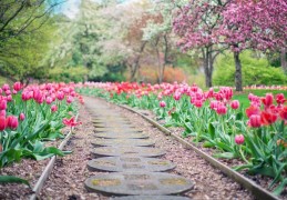 夢見路代表什麼？23個夢境解讀（夢見別人坐在路上 、夢見躺在路上）