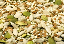 夢見種子代表什麼？23個夢境解讀（夢見別人在地上播種 、夢見賣種子）