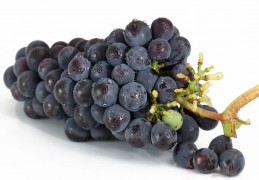 夢見葡萄代表什麼？ 12個夢境解讀（夢見葡萄乾、夢見吃葡萄乾）