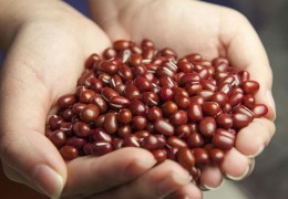 夢見紅豆代表什麼？10個夢境解讀（夢見買紅豆、夢見賣紅豆）