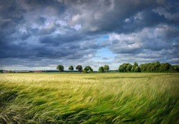 夢見風很大代表什麼？19個夢境解讀（夢見風吹過別人的頭 、夢見在風中放風箏）