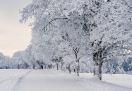 ​夢見飄雪是什麼預兆？11 個含義和象徵