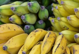 夢見香蕉代表什麼？15 個夢境解讀