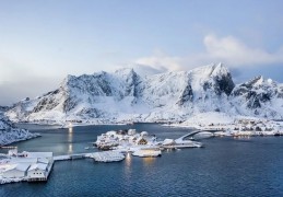 夢見北極代表什麼？10個夢境解讀（夢見自己死在北極 、夢見北極光）