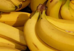 夢見香蕉代表什麼？ 15個夢境解讀（夢見摘香蕉、夢見香蕉蛋糕）