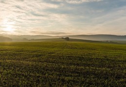 夢見田野代表什麼？ 21個夢境解讀（夢見耕田，夢見在田裡工作）