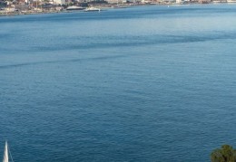 夢見跌入水中代表什麼？17 個夢境解讀