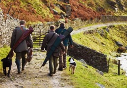 夢見獵人代表什麼？ 22個夢境解讀（夢見有人躲避獵人、夢見別人逃離獵人）