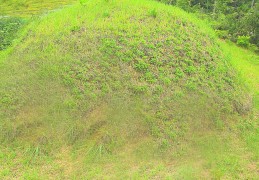 夢見墳墓代表什麼？ 12個夢境解讀（夢見睡在墳墓旁、夢見封閉墓穴）