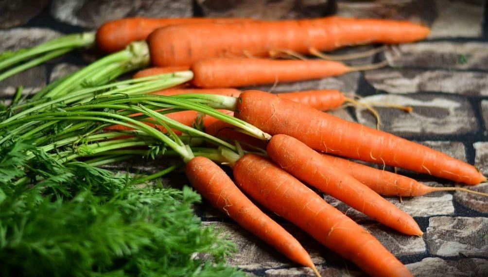 夢見胡蘿蔔代表什麼？23個夢境解讀（夢見煮胡蘿蔔、夢見切胡蘿蔔）