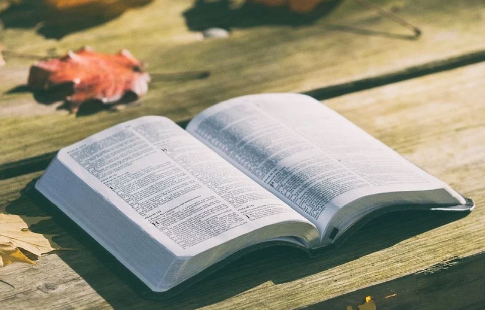 夢見聖經代表什麼？ 12個夢境解讀（夢見收到聖經、夢見失去聖經）