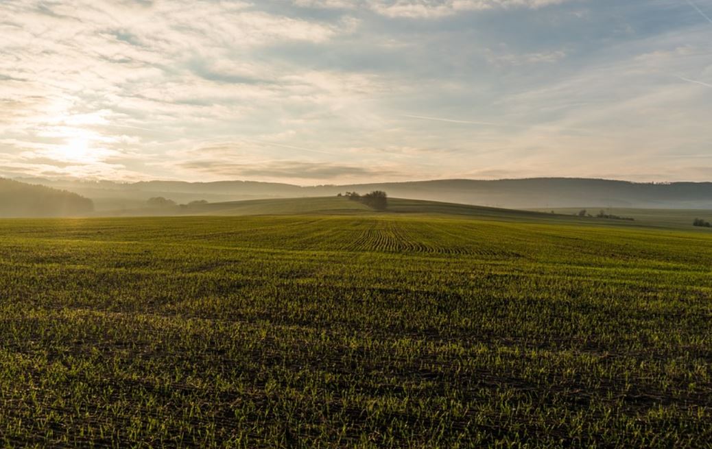 夢見田野代表什麼？ 21個夢境解讀（夢見耕田，夢見在田裡工作）-頭條解讀