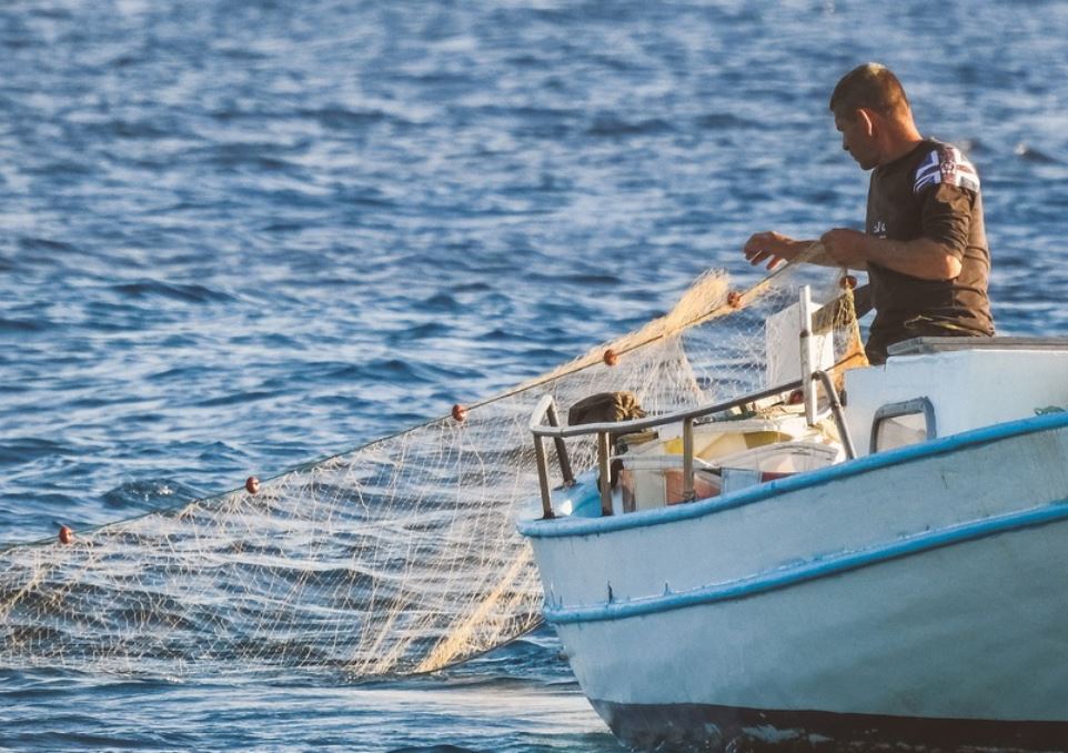 夢見捕魚網代表什麼？ 20個夢境解讀（夢見找到一張網 、夢見丟網）-頭條解讀