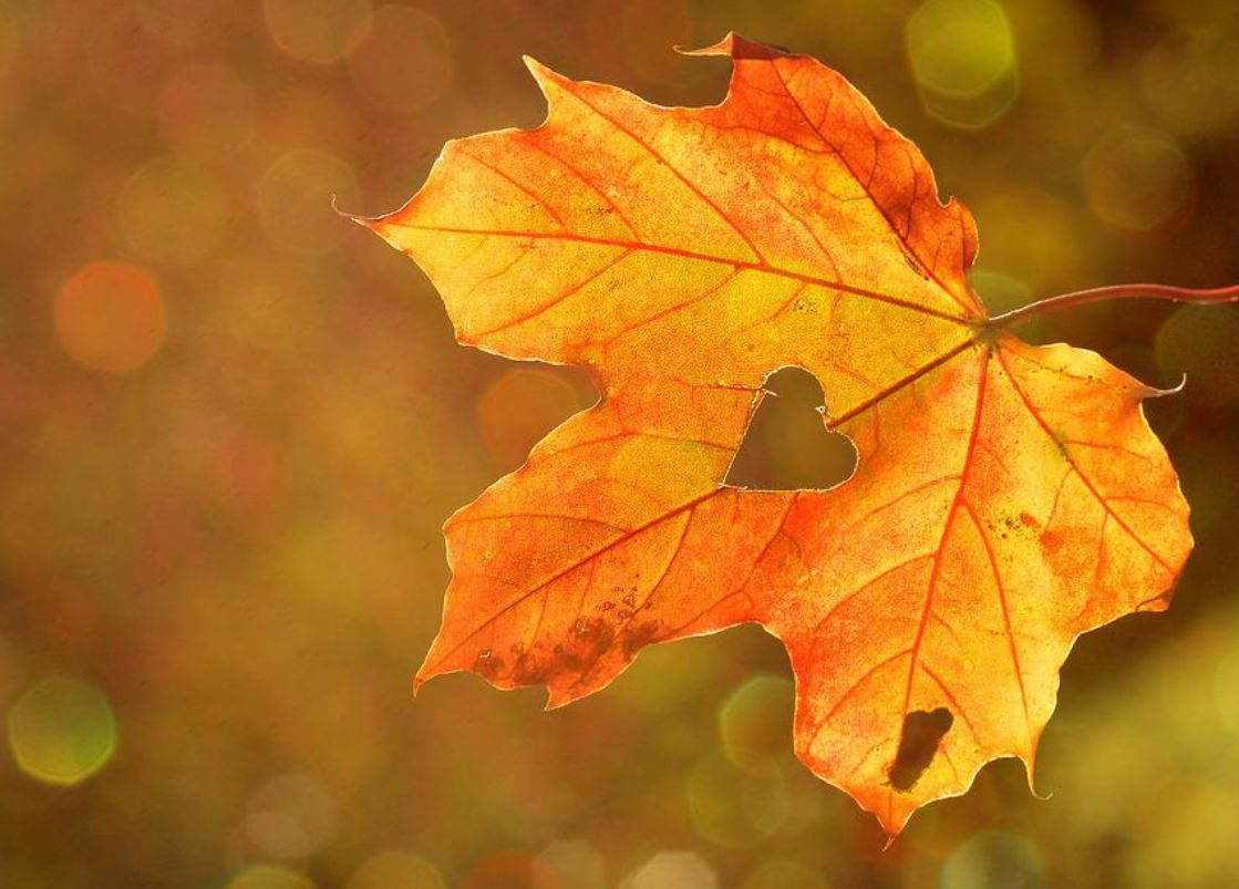 夢見思念代表什麼？14個夢境解讀（夢見想念認識的人、夢見想念父母）-頭條解讀