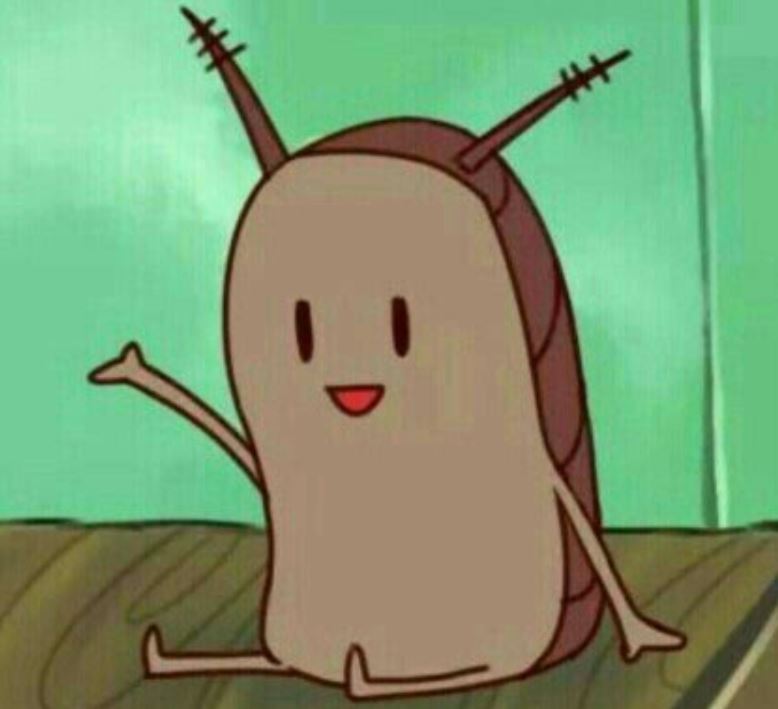 夢見害蟲代表什麼？13個夢境解讀（夢見害蟲爬在家具上、夢見害蟲爬在身上）-頭條解讀