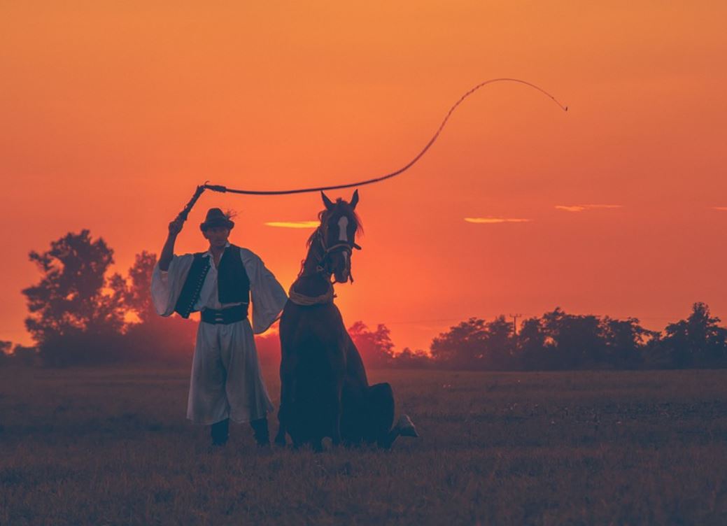 夢見被鞭打代表什麼？9個夢境解讀（夢見鞭打女人、夢見鞭打男人）-頭條解讀