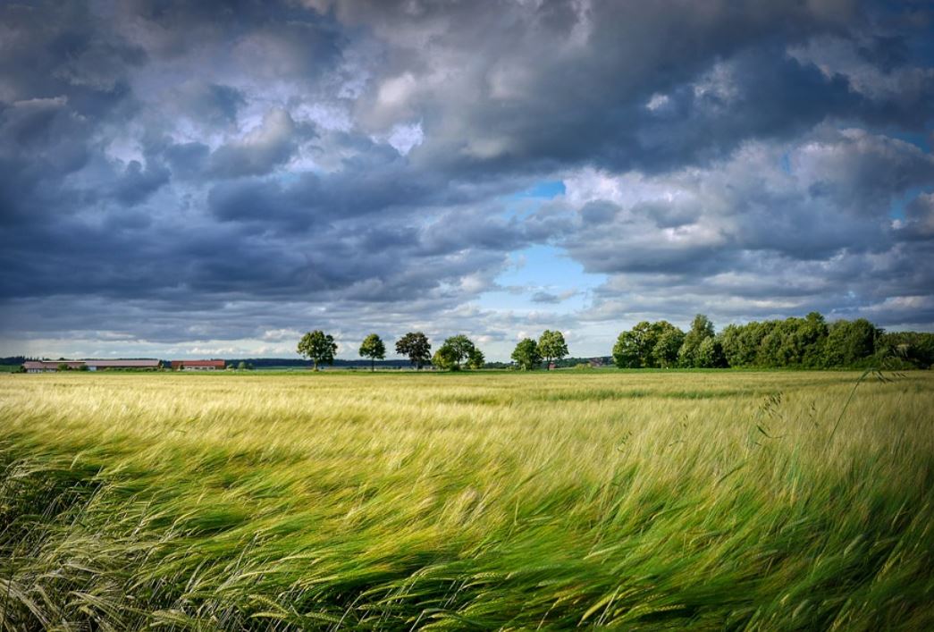 夢見風很大代表什麼？19個夢境解讀（夢見風吹過別人的頭 、夢見在風中放風箏）-頭條解讀