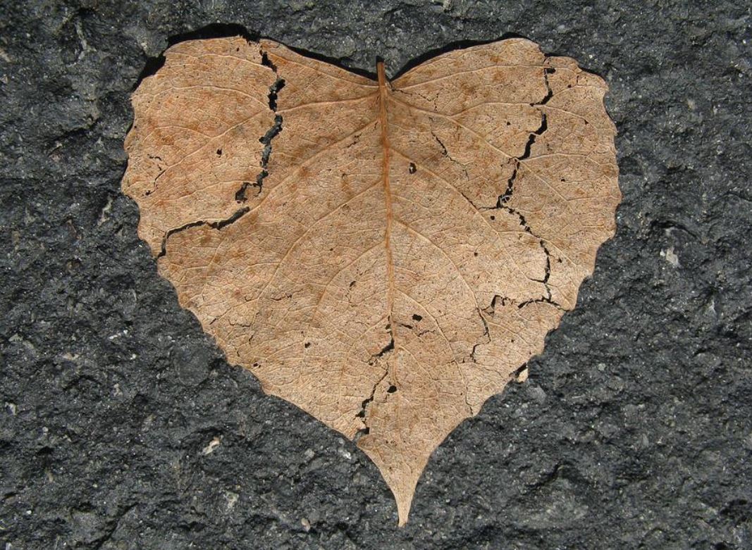 夢見婚姻破裂代表什麼？-頭條解讀