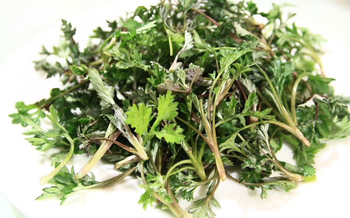 夢見艾草代表什麼？11個夢境解讀（夢見給艾草、夢見收艾草）-頭條解讀