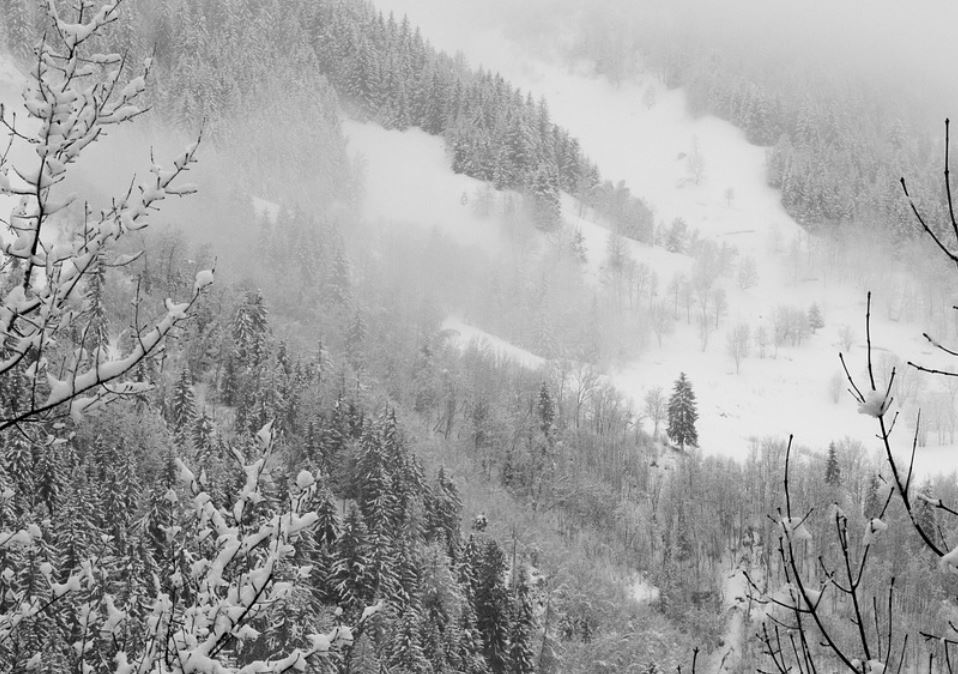 夢見暴風雪代表什麼？20個夢境解讀（夢見躲避暴風雪、夢見尋找避難所）-頭條解讀