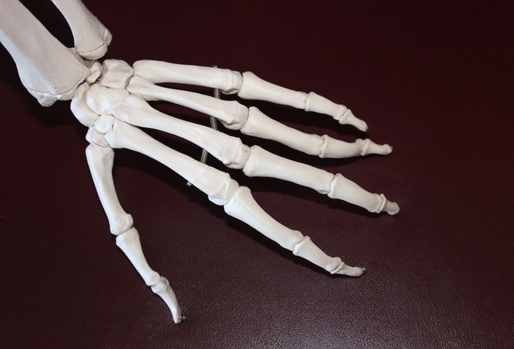 夢見骨頭代表什麼？16個夢境解讀（夢見意外骨折、夢見尋找骨頭）-頭條解讀