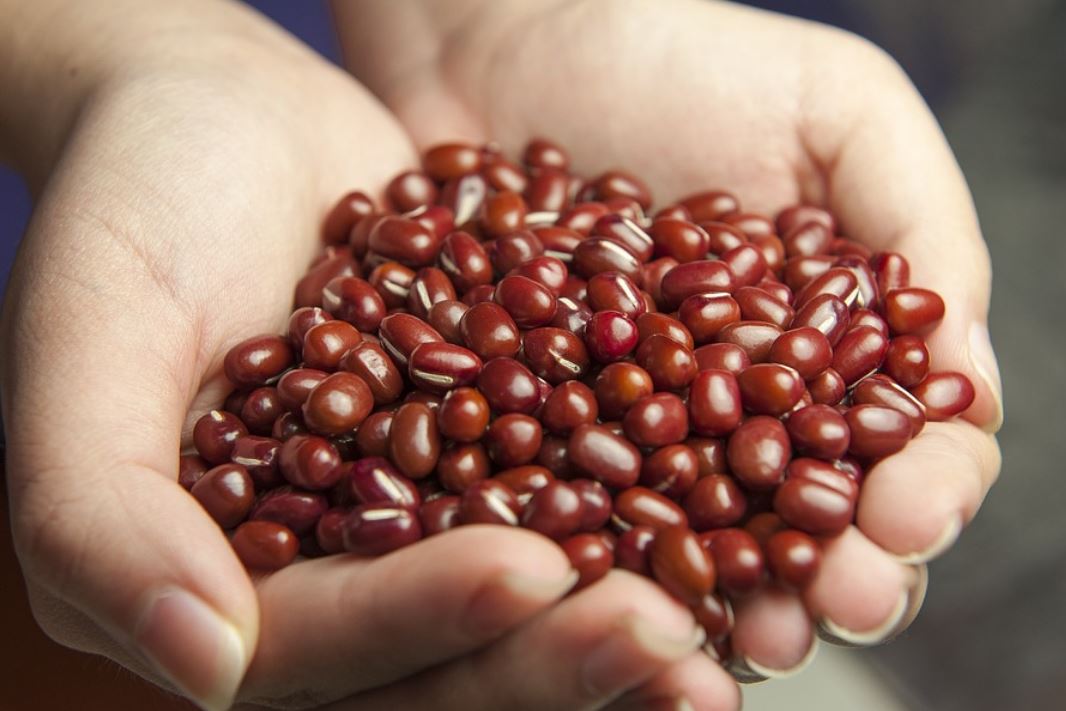 夢見紅豆代表什麼？10個夢境解讀（夢見買紅豆、夢見賣紅豆）-頭條解讀