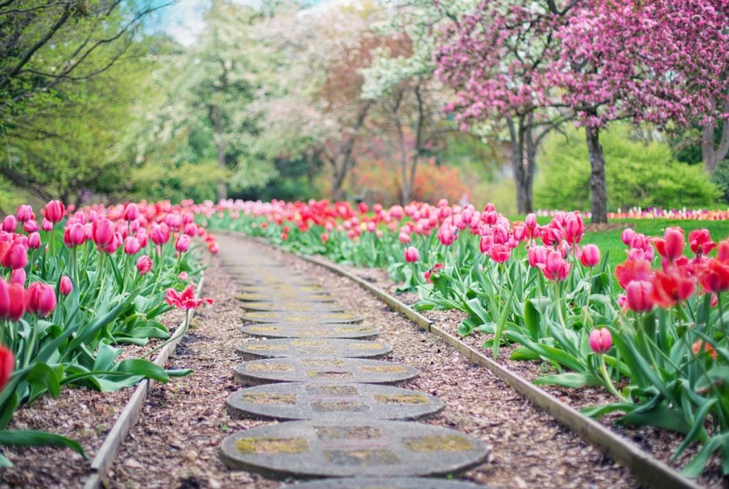 夢見路代表什麼？23個夢境解讀（夢見別人坐在路上 、夢見躺在路上）-頭條解讀