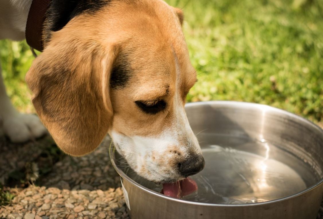 夢見口渴代表什麼？ 24 個夢境解讀（夢見不澆水口渴的人、夢見用水解渴）-頭條解讀