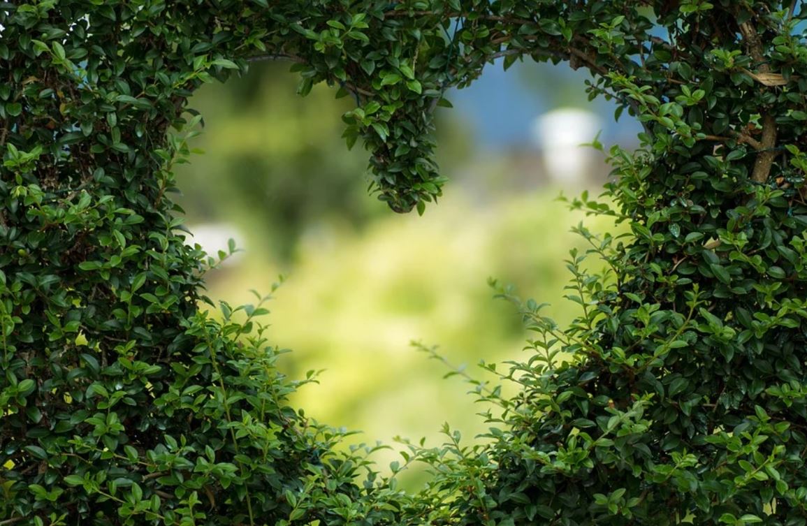 夢見綠色代表什麼？23 個夢境解讀（夢見綠蟲、夢見綠蜥蜴）-頭條解讀