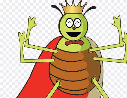 夢見跳蚤代表什麼？9 個夢境解讀-頭條解讀