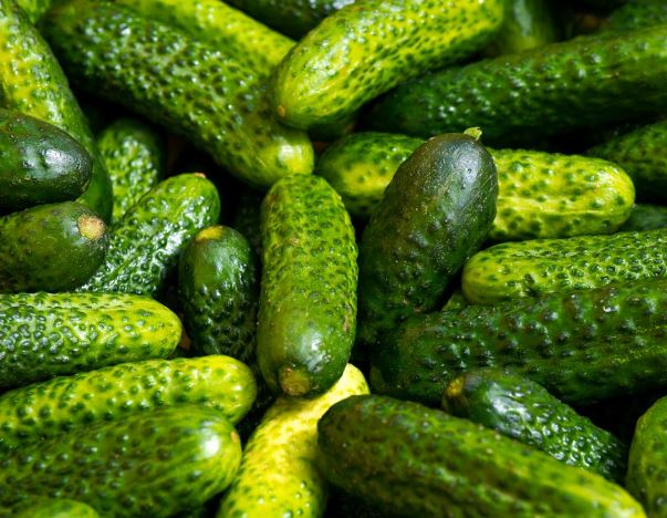 夢見黃瓜代表什麼？12 個夢境解讀-頭條解讀