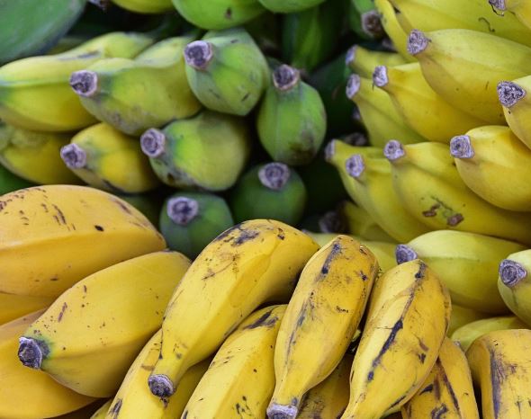 夢見香蕉代表什麼？15 個夢境解讀-頭條解讀